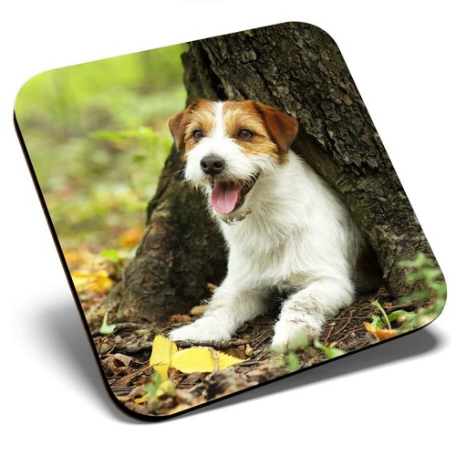 Square single coaster jack - square,