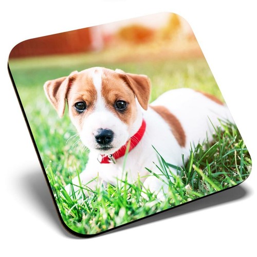 Square single coaster jack - square,