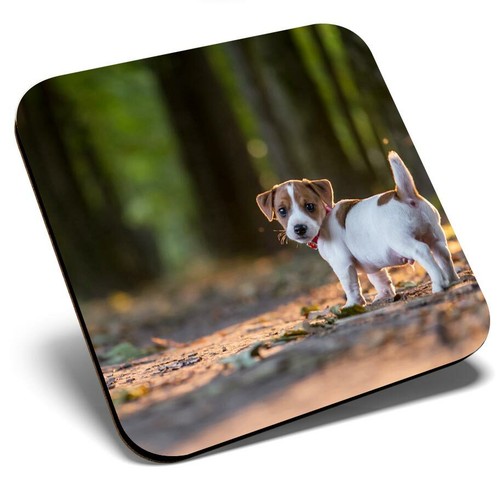 Square single coaster jack - square,