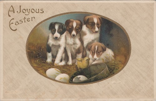Easter greetings puppies - puppies, jack