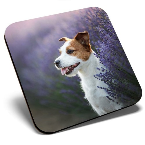 Square single coaster - coaster,