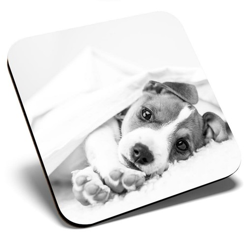 Square single coaster - coaster,
