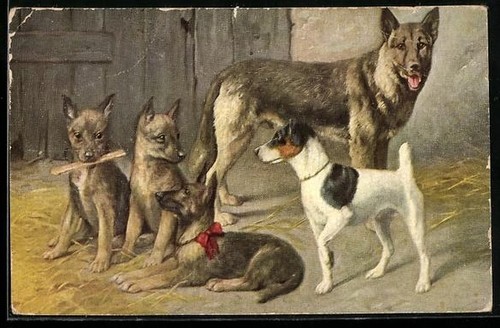 German shepherd with puppies - german,