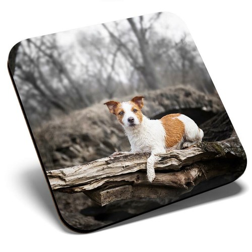 Square single coaster - coaster,