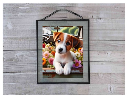 Jack russell terrier dog puppy - russell,