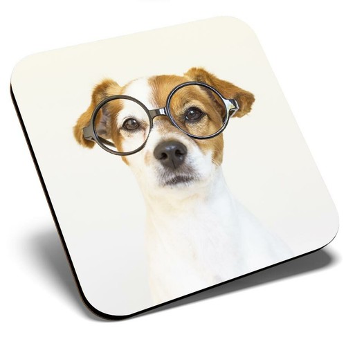 Square single coaster cute - square,