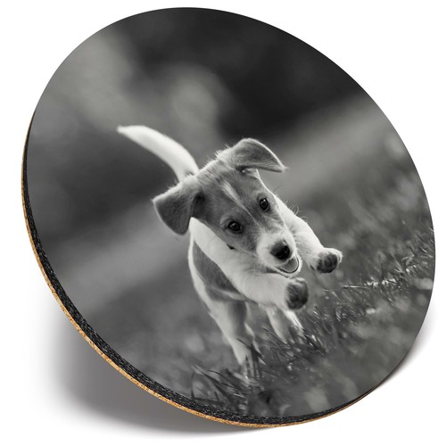 Round single coaster bw - ,