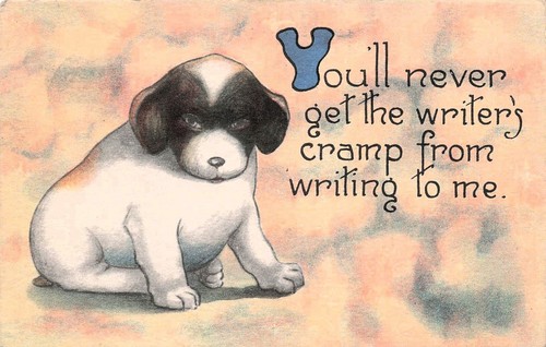 Jack russell terrier puppy - jack,
