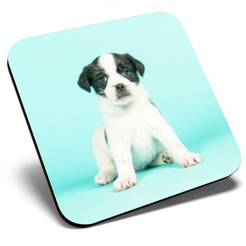 Square single coaster tiny - coaster,