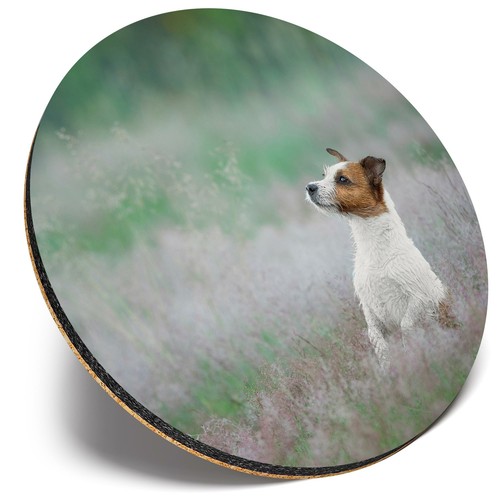 Round single coaster - round,