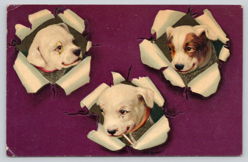 Postcard embossed jack - jack, russell