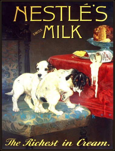 Nestle milk jack russell - nestle's,