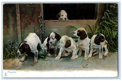 Postcard jack russell six - postcard,
