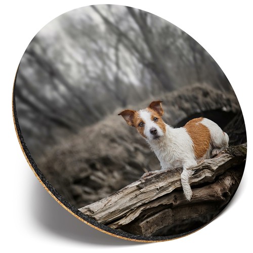 Round single coaster cute - coaster,