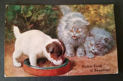Cat dog postcard - dog, postcard,