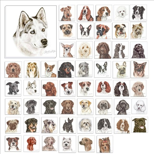 Waggydogz canvas dogs - canvas,