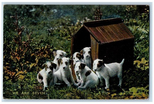 Postcard jack russell terrier - postcard,