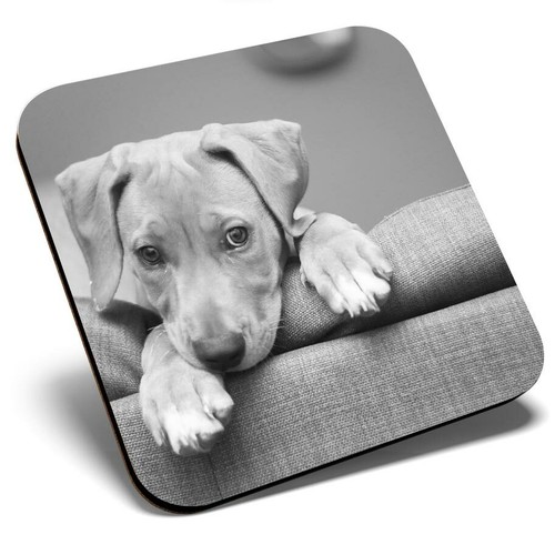 Square single coaster - square,