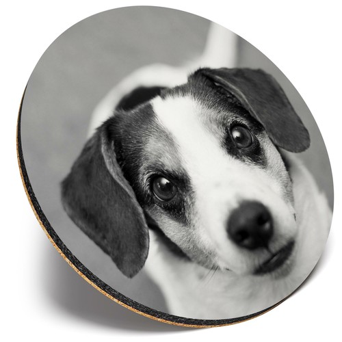 Round single coaster bw - ,