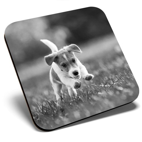Square single coaster - square, bw