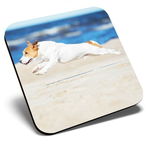 Square single coaster cute - single,
