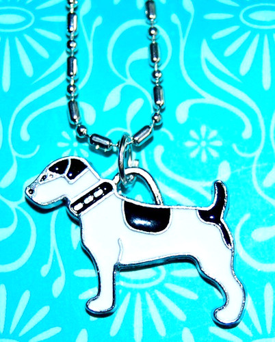 Jack russell terrier - terrier, dog