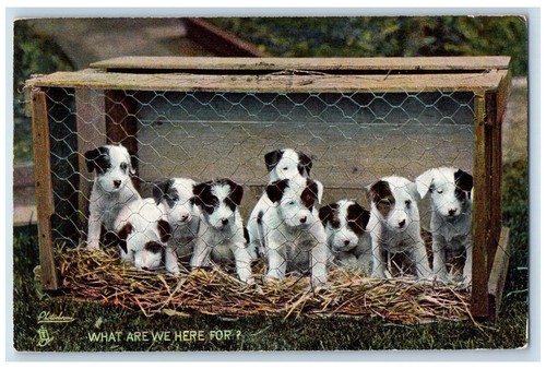 Hamilton canada postcard - postcard, jack