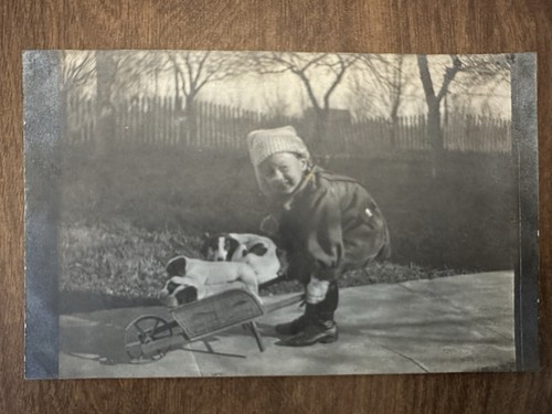 Rppc spaniel jack russell - spaniel,