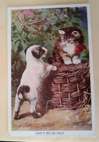 Vintage cat dog postcard - vintage,