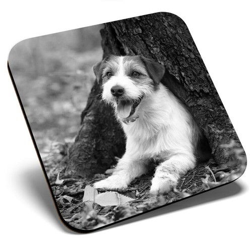 Square single coaster - single,
