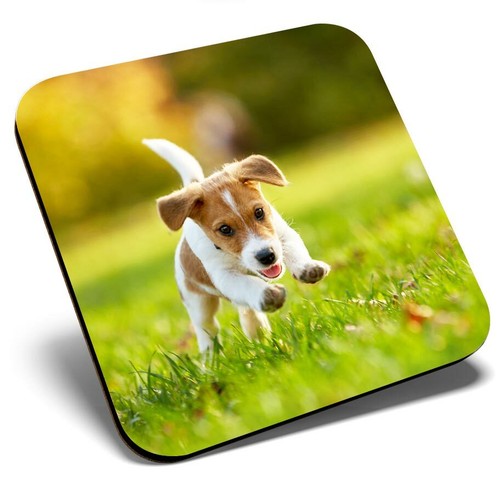 Square single coaster cool - square,