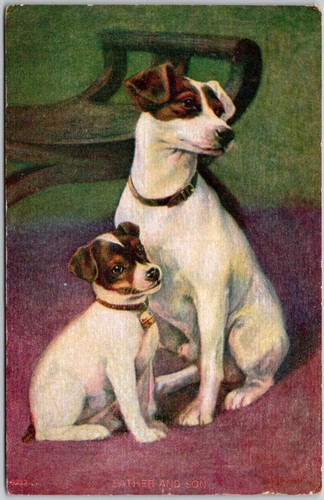 Postcard jack russell - postcard,