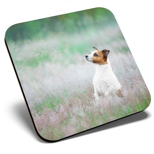 Square single coaster - square,
