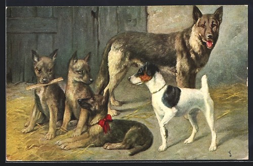 German shepherd with - with, puppies