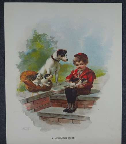 Boy with jack russell terrier - with,