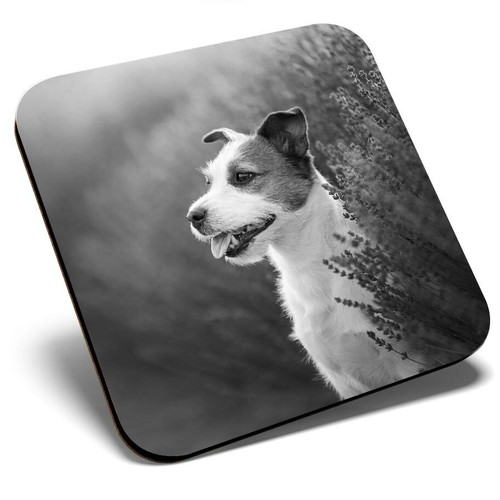 Square single coaster - coaster,