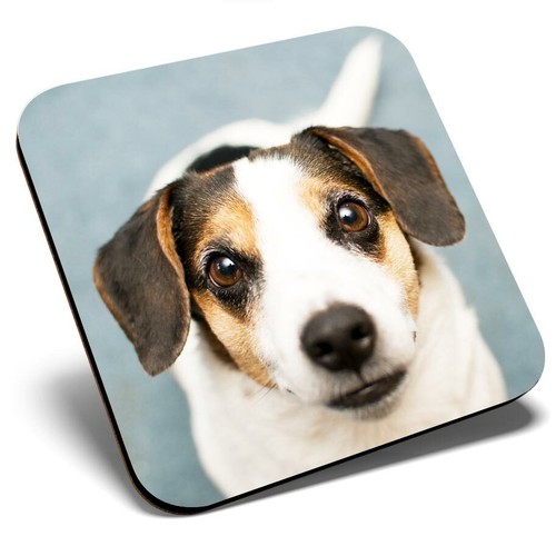 Square single coaster jack - single,