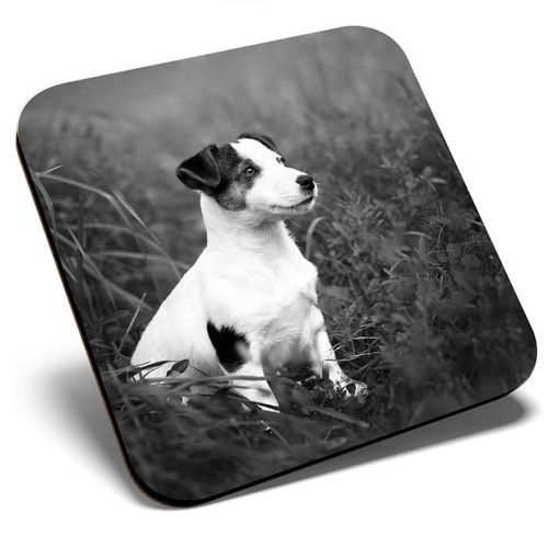 Square single coaster - square,