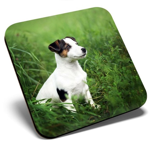 Square single coaster jack - square,