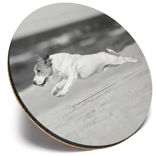 Round single coaster - round,
